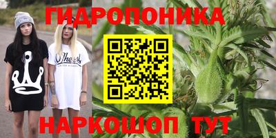 тгк Обнинск