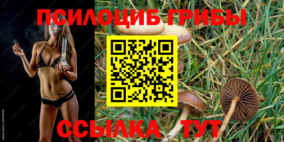 Галлюциногенные грибы Magic Shrooms  Вход с VPN  закладка  Серпухов 