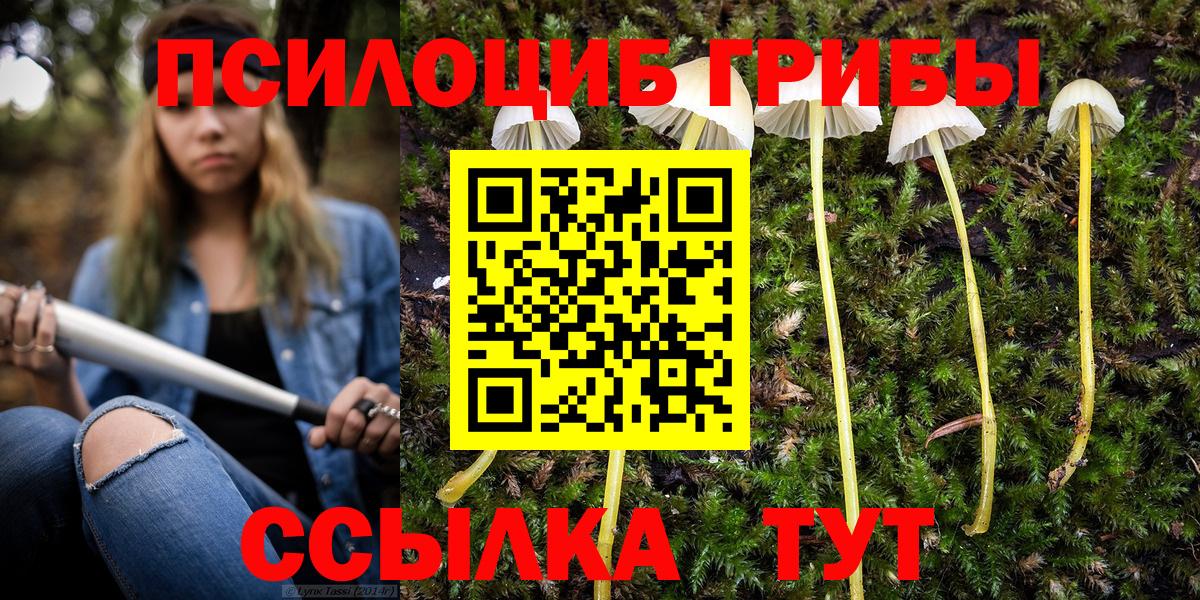 Псилоцибиновые грибы Psilocybine cubensis Серпухов
